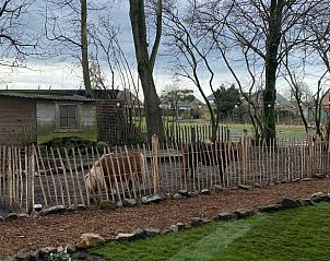 Guest house 0234203 - Holiday property East Flanders - Huisje in Oosteeklo