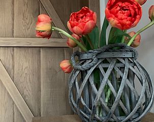 Guest house 0234301 - Holiday property East Flanders - Vakantiehuisje in Kaprijke