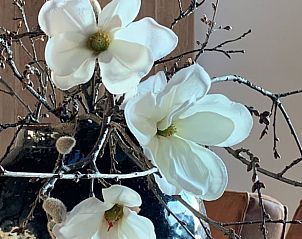 Guest house 0234301 - Holiday property East Flanders - Vakantiehuisje in Kaprijke