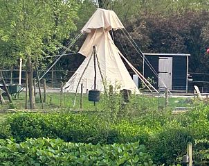 Guest house 0234405 - Holiday property East Flanders - Huisje in Lembeke