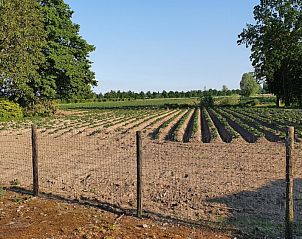 Guest house 024602 - Holiday property East Flanders - Hoeve Hoogeind