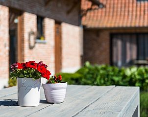 Guest house 024603 - Holiday property East Flanders - Vakantiehoeve Berckelaer