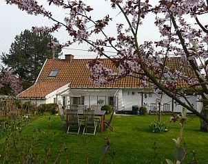 Guest house 025004 - Holiday property East Flanders - La Quitapenas