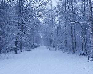 Unterkunft 025220 - Ferienhaus Ostflandern - Blokhut Stekene