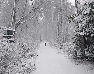 Unterkunft 025220 - Ferienhaus Ostflandern - Blokhut Stekene
