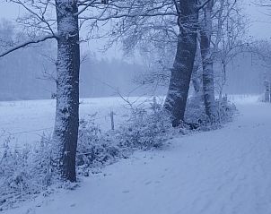 Unterkunft 025220 - Ferienhaus Ostflandern - Blokhut Stekene
