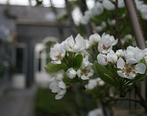 Verblijf 0302131 - Bed and breakfast Oost-Vlaanderen - Casa Lucinda