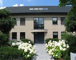 Verblijf 030253 - Bed and breakfast Oost-Vlaanderen - B&B Au Grenier