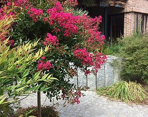 Guest house 030701 - Bed and Breakfast Flemish Brabant - Gastenverblijf Wisteria