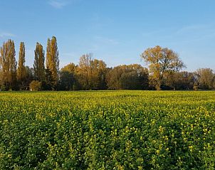 Guest house 0311801 - Holiday property Flemish Brabant - Vakantiehuis in Zemst