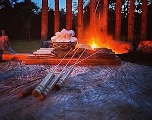 Verblijf 0315901 - Vakantiewoning Vlaams-Brabant - Vakantiehuisje in Rillaar