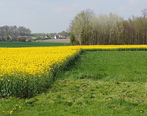 Verblijf 0316201 - Vakantiewoning Vlaams-Brabant - Vakantiehuis in Binkom