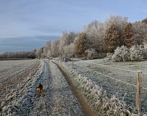 Verblijf 0316402 - Vakantiewoning Vlaams-Brabant - Vakantiehuisje in Holsbeek