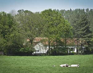 Huisje in Holsbeek, gelegen in het groene landschap van Holsbeek, Vlaams-Brabant, met weids uitzicht op de natuur.