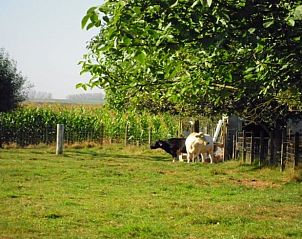 Verblijf 032705 - Vakantiewoning Vlaams-Brabant - Vakantiehuisje in Roosdaal