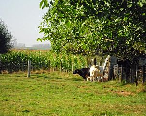 Verblijf 032706 - Vakantiewoning Vlaams-Brabant - Huisje in Roosdaal