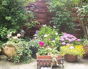 Guest house 040133 - Bed and Breakfast Antwerp - Bed and Breakfast 't Zuid
