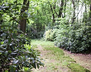 Guest house 040203 - Holiday property Antwerp - Boskant