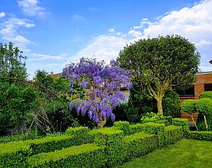 Guest house 040626 - Holiday property Antwerp - Vakantiehuis Gem�tliches Haus mit eingez�untem Garten