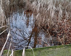 Guest house 040627 - Holiday property Antwerp - Vakantiehuisje in Merksplas