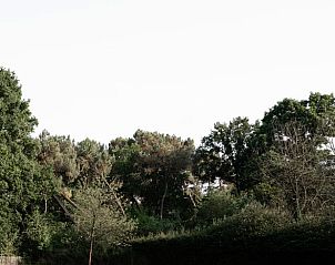 Guest house 0412203 - Holiday property Antwerp - Vakantiehuis in Minderhout