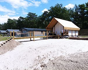 Unterkunft 041783 • Ferienhaus Antwerpen • Vakantiehuis Glampingtent Kiezel Lodge XL 6 