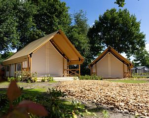 Unterkunft 041784 • Ferienhaus Antwerpen • Vakantiehuis Glampingtent Kiezel Lodge XL 6 