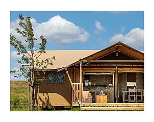 Guest house 041789 - Holiday property Antwerp - 781738