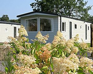 Guest house 041791 - Holiday property Antwerp - 781844