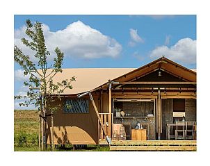 Guest house 041793 - Holiday property Antwerp - 781846