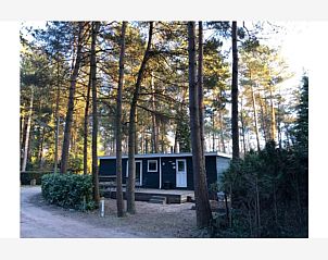 Guest house 0418813 - Chalet Antwerp - Boomklever