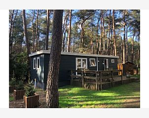 Guest house 0418814 - Chalet Antwerp - Ekster
