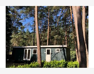 Guest house 0418814 - Chalet Antwerp - Ekster