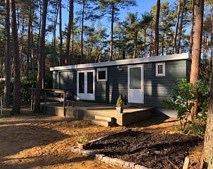 Guest house 0418816 - Chalet Antwerp - Koolmees