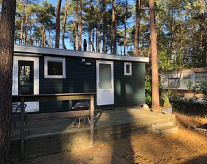 Guest house 0418816 - Chalet Antwerp - Koolmees