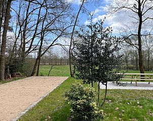 Geniet van de serene natuur rondom Vakantiehuisje in Geel, Winkelomheide, Antwerpen, met een prachtig uitzicht en picknickplek.