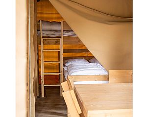 Verblijf 042412 - Appartement Antwerpen - Safari tent for 5 person