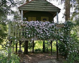 Guest house 043205 - Holiday property Antwerp - Vakantiehuisje in Oud-Turnhout