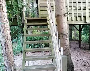 Guest house 043205 - Holiday property Antwerp - Vakantiehuisje in Oud-Turnhout