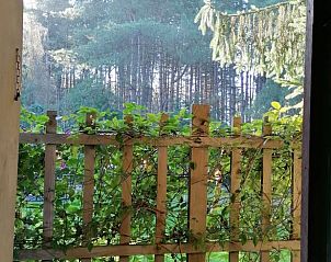 Guest house 043205 - Holiday property Antwerp - Vakantiehuisje in Oud-Turnhout