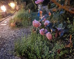 Guest house 043210 - Holiday property Antwerp - Huisje in Oud-Turnhout