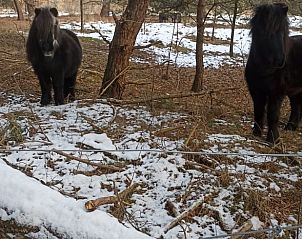 Guest house 043210 - Holiday property Antwerp - Huisje in Oud-Turnhout