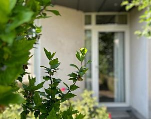 Ingang van Vakantiehuisje in Malle, Antwerpen, met groene planten die de serene omgeving van deze vakantiewoning benadrukken.