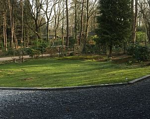 Groene omgeving van Huisje in Essen, chalet in Essen, Antwerpen, ideaal voor natuurliefhebbers.