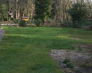 Ruime tuin van Huisje in Essen, vakantiechalet in Essen, Antwerpen, omringd door natuur.