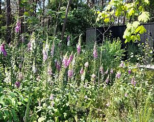 Verblijf 044212 - Vakantiewoning Antwerpen - Black Box