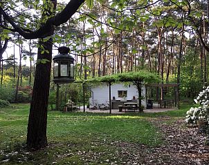 Guest house 044215 - Bungalow Antwerp - Het Beerenbos