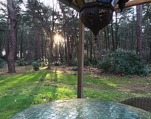 Guest house 044215 - Bungalow Antwerp - Het Beerenbos
