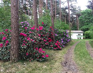 Guest house 044215 - Bungalow Antwerp - Het Beerenbos