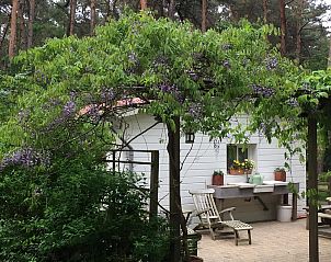 Guest house 044215 - Bungalow Antwerp - Het Beerenbos